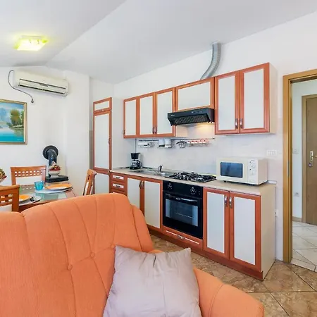 Pet Friendly In *