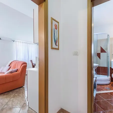 Pet Friendly In Apartmán *